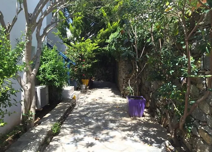 Daire Beautiful, Sunny In *